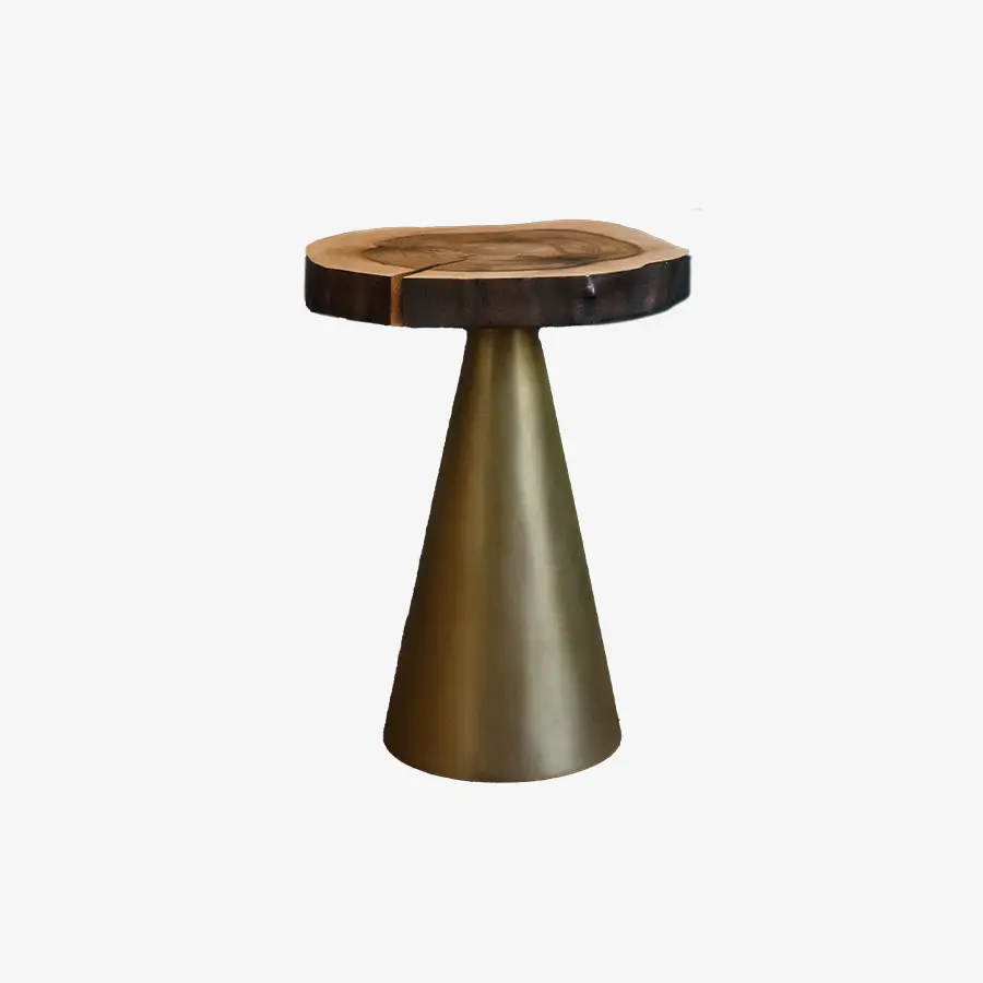 tamasine osher bronze side table