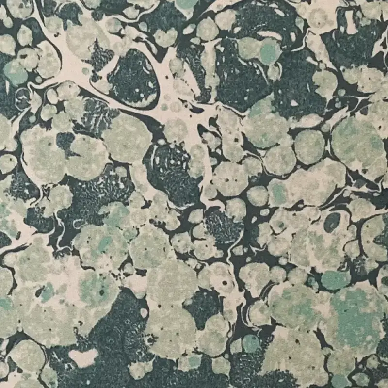 Ditzy Aloma Eco Wallpaper