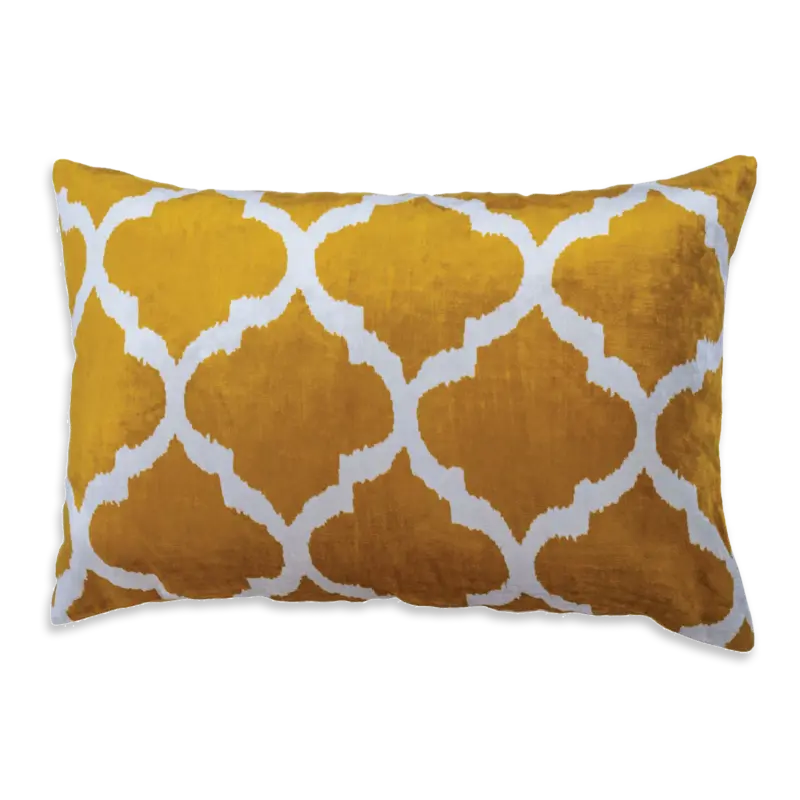 Cushion Ikat 21