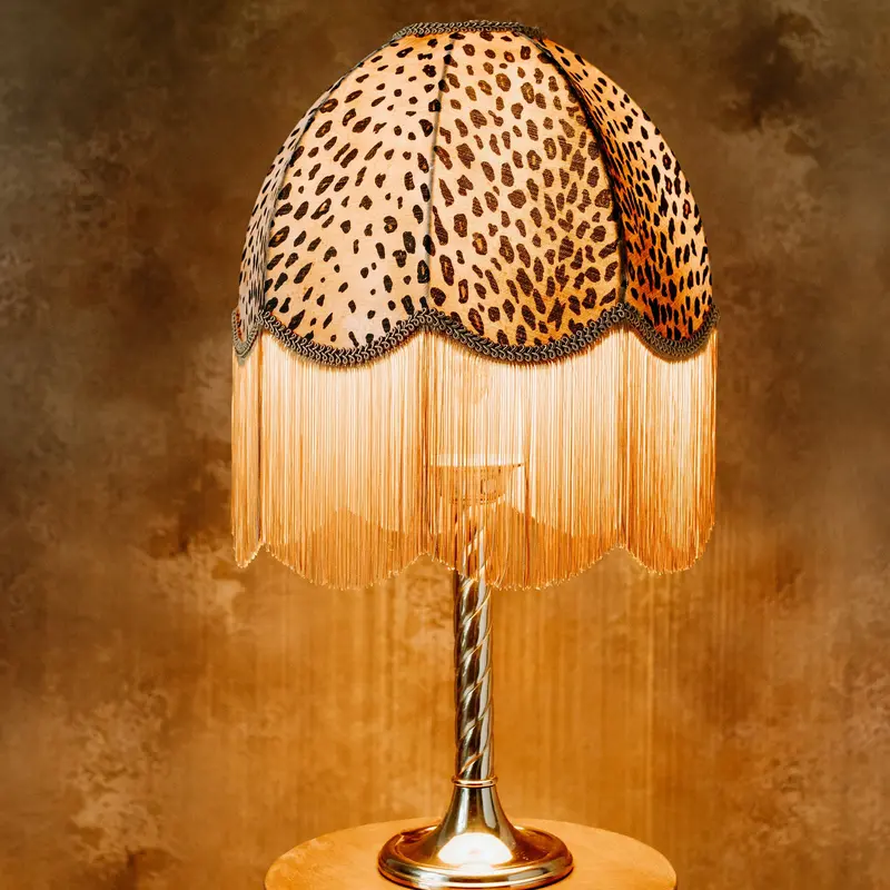The Barbara Fringed Lampshade