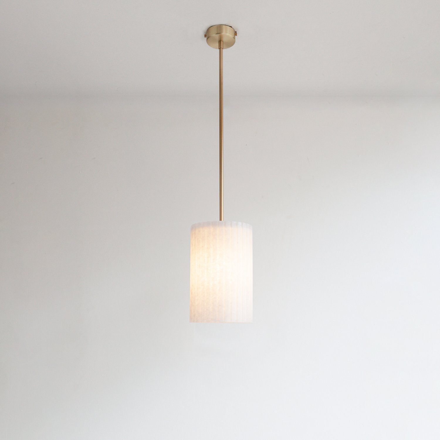 Rian Stemmed Pendant Light - Recycled Plastic
