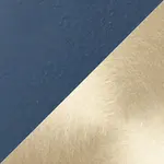 Dark Navy & Satin Brass